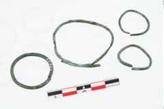 Foto von Bronzering (NHMW-PRAE-026629)